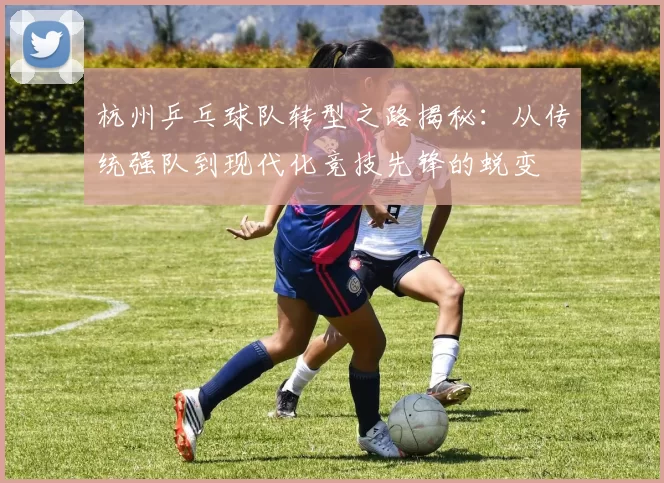 杭州乒乓球队转型之路揭秘：从传统强队到现代化竞技先锋的蜕变