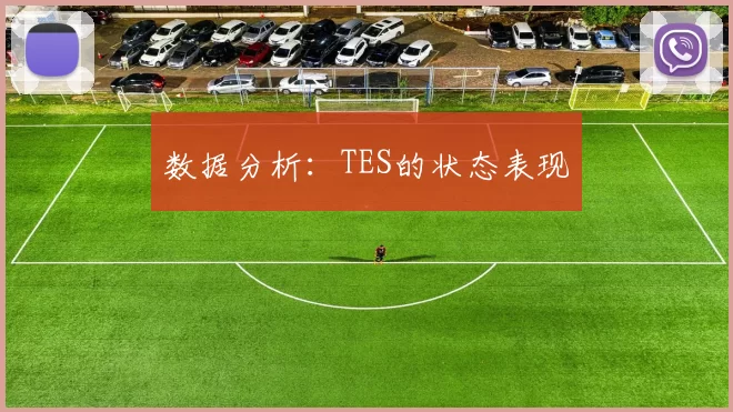 数据分析：TES的状态表现