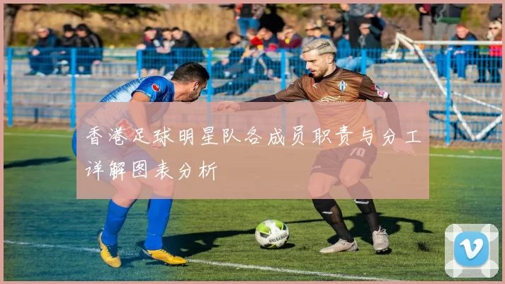 香港足球明星队各成员职责与分工详解图表分析