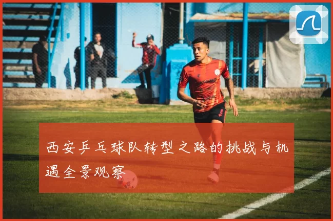 西安乒乓球队转型之路的挑战与机遇全景观察